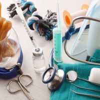 Veterinary care equipment