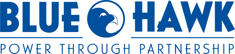 Blue Hawk logo