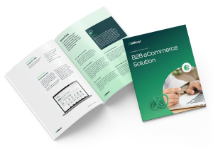 B2B eCommerce solution guide