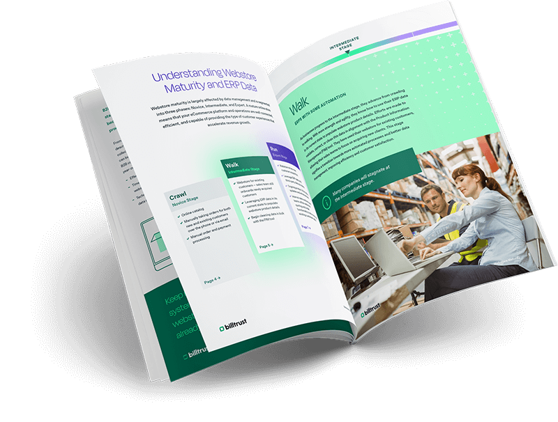 Download webstore maturity ebook