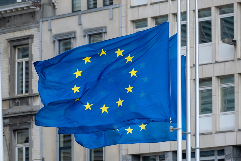 EU flags flying in front of government building
