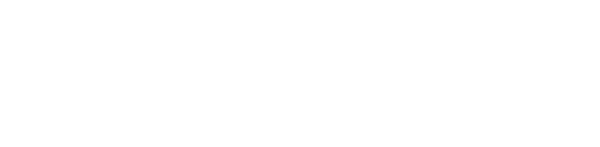 Natus-Logo