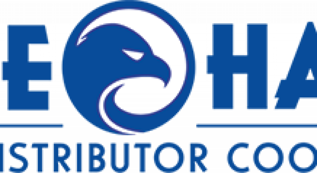 Blue Hawk Logo